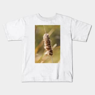 Cattail Scruff. Photograph Kids T-Shirt